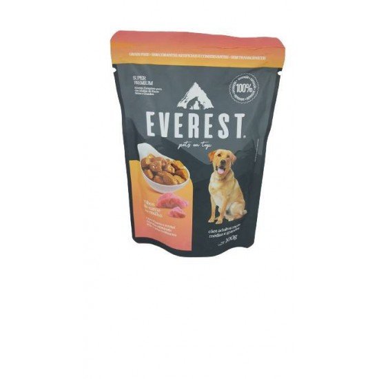 SACHE EVEREST CÃO ADULTO CARNE 100G