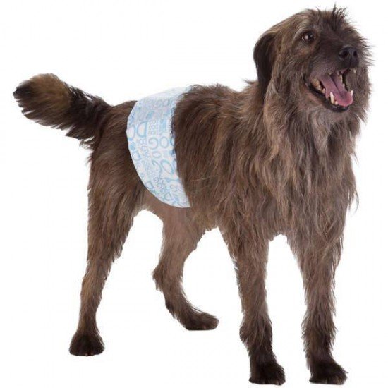 FAIXA ABSORVENTE DOGS CARE ECOFRALDA GEL PARA MACHO - 12 UNIDADES FAIXA ABSORVENTE DOGS CARE ECOFRALDA GEL PARA MACHO - 12 UNIDADES