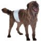 FAIXA ABSORVENTE DOGS CARE ECOFRALDA GEL PARA MACHO - 12 UNIDADES FAIXA ABSORVENTE DOGS CARE ECOFRALDA GEL PARA MACHO - 12 UNIDADES