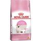 RAÇÃO ROYAL CANIN - GATOS FILHOTES 400G