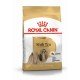 RAÇÃO ROYAL CANIN SHIH TZU - CÃES ADULTOS