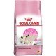 RAÇÃO ROYAL HEALTH NUTRITION FELINE MOTHER & BABY PARA GATOS FILHOTES DE 1 A 4 MESES DE IDADE 400G