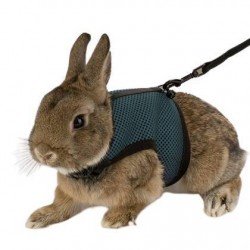 PEITORAL PARA GATOS E COELHOS JOGGING EXTRA GR PEITORAL PARA GATOS E COELHOS JOGGING EXTRA GR