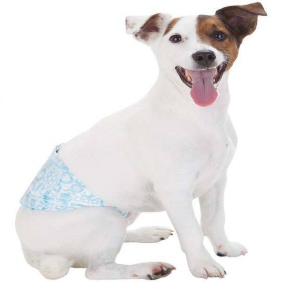 FAIXA ABSORVENTE DOGS CARE ECOFRALDA GEL PARA MACHO - 12 UNIDADES FAIXA ABSORVENTE DOGS CARE ECOFRALDA GEL PARA MACHO - 12 UNIDADES