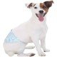 FAIXA ABSORVENTE DOGS CARE ECOFRALDA GEL PARA MACHO - 12 UNIDADES FAIXA ABSORVENTE DOGS CARE ECOFRALDA GEL PARA MACHO - 12 UNIDADES