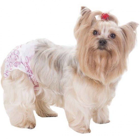 FRALDA HIGIÊNICA DOGS CARE ECOFRALDA GEL PARA FÊMEAS - 12 UNIDADES