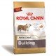 RAÇÃO ROYAL CANIN BULLDOG INGLÊS PARA CÃES ADULTOS 12KG