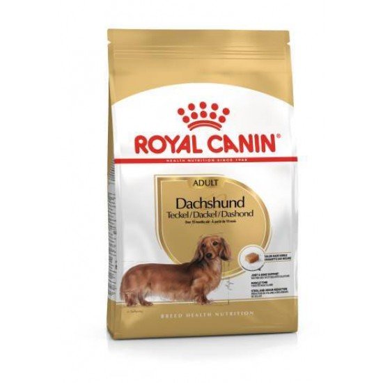 RAÇÃO ROYAL CANIN DACHSHUND - CÃES ADULTOS