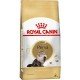 RAÇÃO ROYAL CANIN PERSA - GATOS ADULTOS 7,5KG