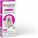 ANTIPULGAS E CARRAPATOS MSD BRAVECTO TRANSDERMAL PARA CÃES DE 40 A 56 KG