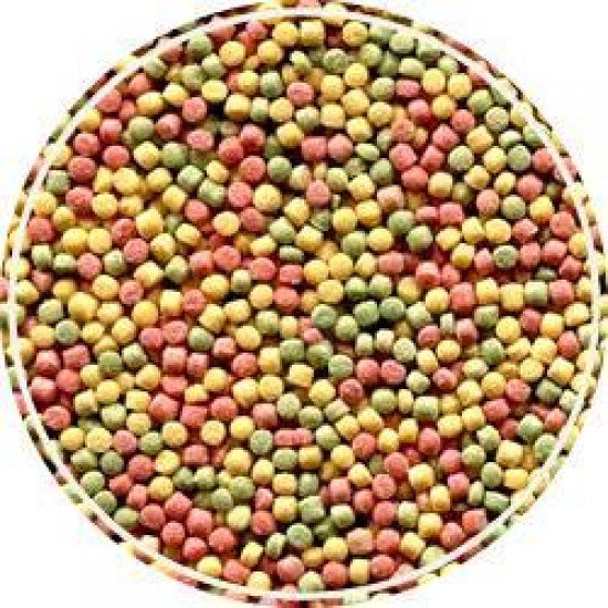 ALCON CLUB CURIÓ 325G