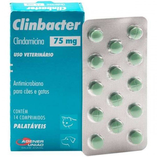 Antimicrobiano Agener União Clinbacter para Cães e Gatos