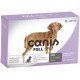 Antiparasitário Labyes Canis Full Spot para Cães de 11 Kg até 25 Kg