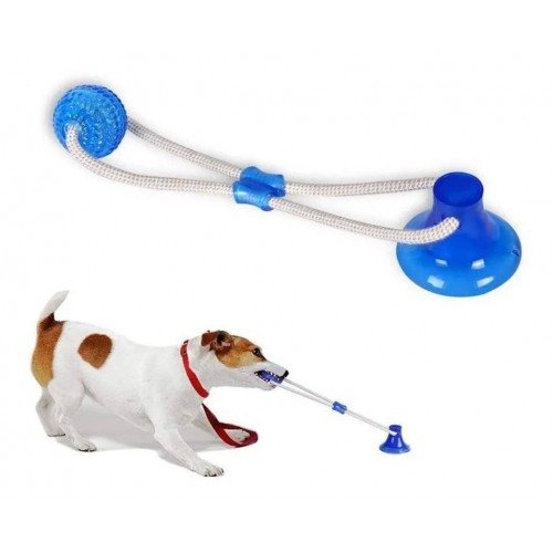 BRINQUEDO  PUSH BALL PET COM VENTOSA