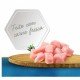 Ração Seca Fórmula Natural Fresh Meat Cães Light Raças Mini e Pequena