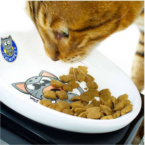COMEDOURO CATMYPET SNACK CAT