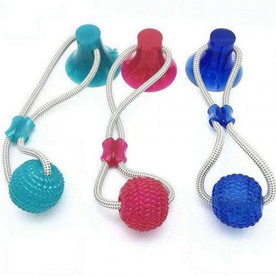 BRINQUEDO  PUSH BALL PET COM VENTOSA