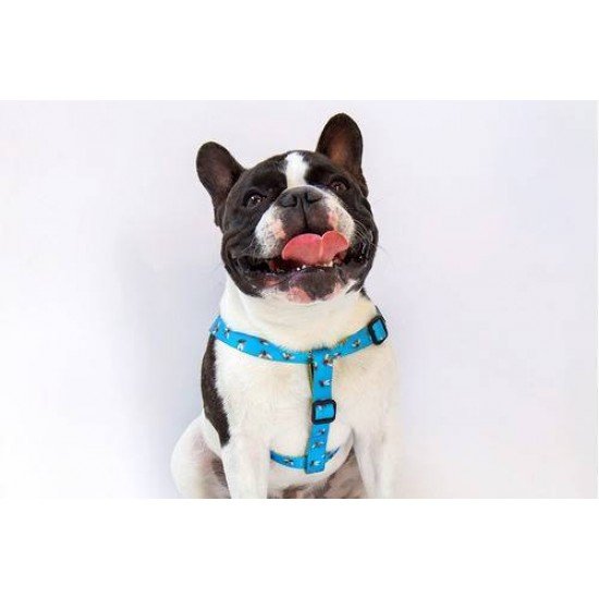 PEITORAL ZEE DOG PADRAO BUZZ P