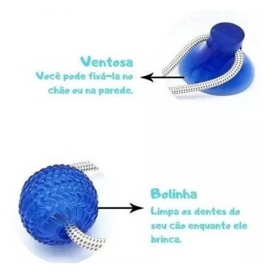 BRINQUEDO  PUSH BALL PET COM VENTOSA
