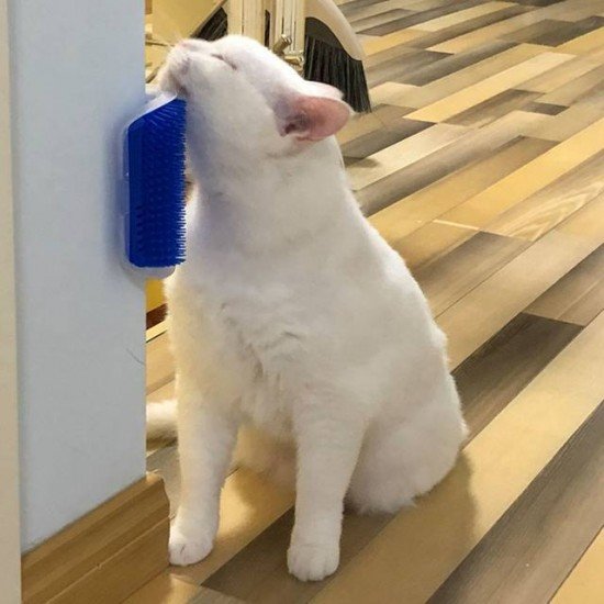 ESCOVA MASSAGEADOR DE GATO C/ CATNIP CHALESCO