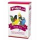 LABCON CLUB VITIL P.S.