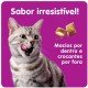 PETISCO WHISKAS TEMPTATIONS ANTIBOLA DE PELO PARA GATOS ADULTOS