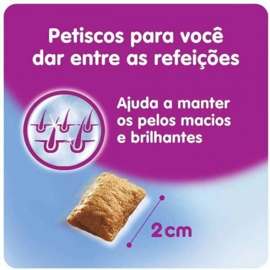 PETISCO WHISKAS TEMPTATIONS PELO SAUDÁVEL PARA GATOS ADULTOS - 40 G