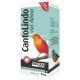 SUPLEMENTO PROVETS CANTOLINDO VIAS AÉREAS - 10 ML