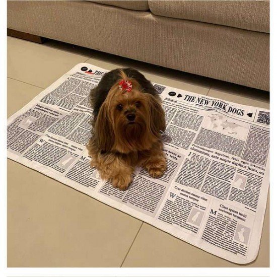 TAPETE HIGIÊNICO LAVÁVEL DOGS CARE THE NEW YORK DOGS TAPETE HIGIÊNICO LAVÁVEL DOGS CARE THE NEW YORK DOGS