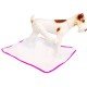 TAPETE HIGIÊNICO PET WASH SÃO BENEDITO PET LAVÁVEL 60X50