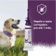 Antipulgas e Carrapatos Ceva Vectra 3D 3,6 mL para Cães de 10 a 25 Kg